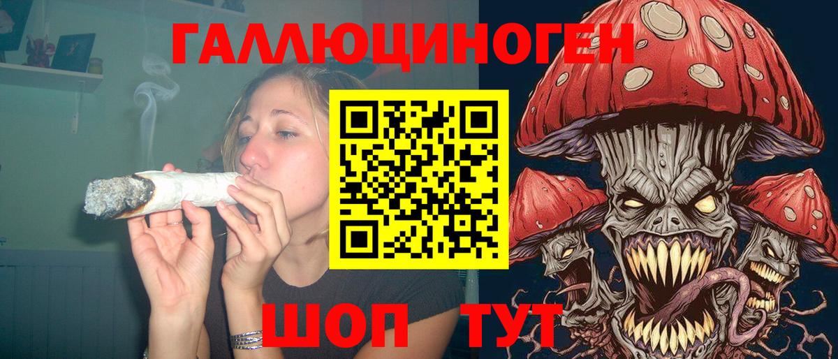 Галлюциногенные грибы MAGIC MUSHROOMS  Вход с VPN  Петропавловск-Камчатский 